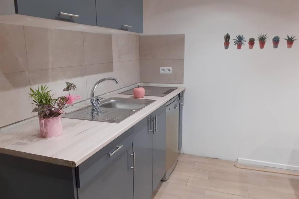 Appartement 3 Pieces Dans Villa Individuelle Falicon Eksteriør billede